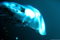 OK, OK, what is it and why put it up? It is an air bubble... by Andrew Macleod 